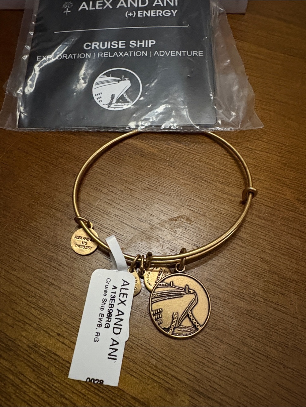 Alex and Ani Gold Cruise Ship Charm Bangle